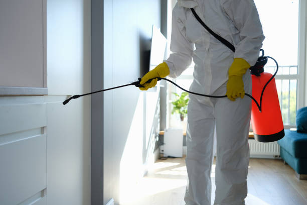 Best Forensic Mold Investigation  in Bronson, FL